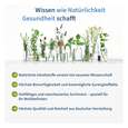 Sie sehen eine Packung NatuGena Homocystein Modulator Kapseln, Produktbild: 05 NatuGena Homocystein Modulator Kapseln, A-Nr.: 5926819 - 05