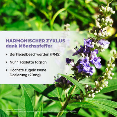 Dr. Böhm® Mönchspfeffer forte 20 mg, A-Nr.: 5530079 - 03