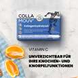 CollaMouv® Original, A-Nr.: 6118033 - 05