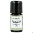 Aetherische Oele Dr.eberhardt Bio Eukalyptus Radiata B 5ml, A-Nr.: 5765121 - 09