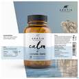 Sie sehen eine Packung L-glutamin +fenchel Kapseln Arktis 180st, Produktbild: 06 L-glutamin +fenchel Kapseln Arktis 180st, A-Nr.: 4750643 - 06