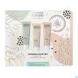 Sie sehen eine Packung Boerlind Handbalsam-set Marula Bio Aloe Bio Fackelli 3x 30ml 60230 1st, Produktbild: 01 Boerlind Handbalsam-set Marula Bio Aloe Bio Fackelli 3x 30ml 60230 1st, A-Nr.: 5683498 - 01