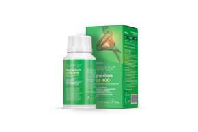 ACURAFLEX® Magnesium Citrat 400 – 100 Kapseln mit 400 mg Magnesium, A-Nr.: 6130755 - 01