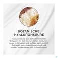 Sie sehen eine Packung Boerlind Compact/powder Almond 60252 9g, Produktbild: 07 Boerlind Compact/powder Almond 60252 9g, A-Nr.: 5688219 - 07
