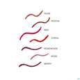Sie sehen eine Packung Boerlind Lip Liner Pencil Rose 60268 1g, Produktbild: 05 Boerlind Lip Liner Pencil Rose 60268 1g, A-Nr.: 5689940 - 05