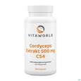 Sie sehen eine Packung Cordyceps Sinensis-extrakt Kapseln Vegetarisch 500mg Vita World 100st, Produktbild: 01 Cordyceps Sinensis-extrakt Kapseln Vegetarisch 500mg Vita World 100st, A-Nr.: 4836439 - 01