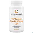 Sie sehen eine Packung Cordyceps Sinensis-extrakt Kapseln Vegetarisch 500mg Vita World 100st, Produktbild: 02 Cordyceps Sinensis-extrakt Kapseln Vegetarisch 500mg Vita World 100st, A-Nr.: 4836439 - 02