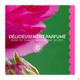 Sie sehen eine Packung Roger & Gallet Rose Deodorant 24h 50g, Produktbild: 08 Roger & Gallet Rose Deodorant 24h 50g, A-Nr.: 5976444 - 08