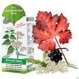 Beinwohl Aktiv Kraeuterfit Elixier Bio Kraeuter Fruechte Alkoholfrei 330ml, A-Nr.: 3961734 - 10