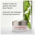 Sie sehen eine Packung Boerlind System Absolut Nachtcreme Limited Design 60362 50ml, Produktbild: 05 Boerlind System Absolut Nachtcreme Limited Design 60362 50ml, A-Nr.: 5844783 - 05