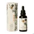 Sie sehen eine Packung Kraeuter Essenz Lebergesundheit Liver Detox 50ml, Produktbild: 06 Kraeuter Essenz Lebergesundheit Liver Detox 50ml, A-Nr.: 5969817 - 06
