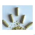 Moringa Powder Capsules 60 Stk., A-Nr.: 4583412 - 05