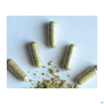 Moringa Powder Capsules 60 Stk., A-Nr.: 4583412 - 05