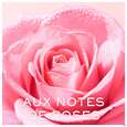 Nuxe Very Rose Creamy Cleansing Milk 200ml, A-Nr.: 5948146 - 05