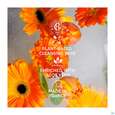 Roger &amp; Gallet Bois Dorange Wellbeing Shower Gel Jumbo Groesse 500ml, A-Nr.: 5917105 - 05