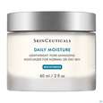 Sie sehen eine Packung Skinceuticals Daily Moisture 60ml, Produktbild: 01 Skinceuticals Daily Moisture 60ml, A-Nr.: 3646777 - 01