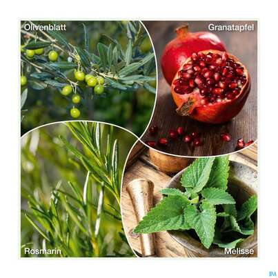Sie sehen eine Packung Weissdorn Herz+fit Granatapfel Revital Alkoholfrei Kraeuter Fruechte 330ml, Produktbild: 05 Weissdorn Herz+fit Granatapfel Revital Alkoholfrei Kraeuter Fruechte 330ml, A-Nr.: 3725790 - 05