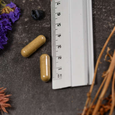 Sie sehen eine Packung Supplementa White Willow Bark (Silberweide) Kapseln, Produktbild: 04 Supplementa White Willow Bark (Silberweide) Kapseln, A-Nr.: 5574970 - 04