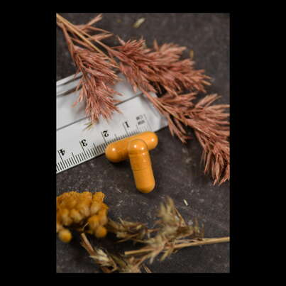 Supplementa Weihrauch/Curcuma Kapseln, A-Nr.: 5596747 - 05