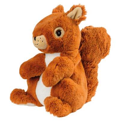 Eichhörnchen, A-Nr.: 4748830 - 01