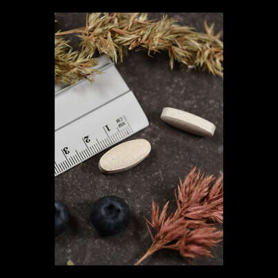 Supplementa Vitamin C 1000 Plus Retardtabletten, A-Nr.: 5396391 - 04