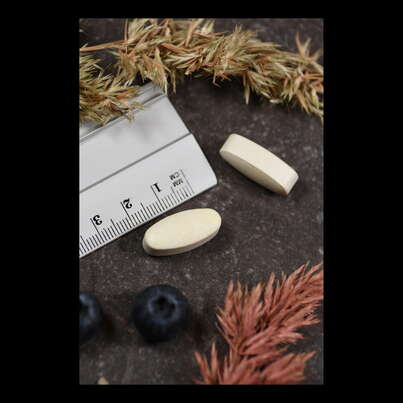 Supplementa C 1000 Buffered Acid free säurefrei Tabletten, A-Nr.: 5396095 - 04