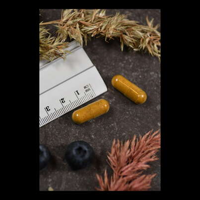 Supplementa Total Cleanse Uric Acid Kapseln, A-Nr.: 5574711 - 04