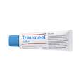Sie sehen eine Packung Traumeel®-Salbe, Produktbild: 02 Traumeel®-Salbe, A-Nr.: 0928736 - 02
