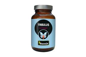 Hanoju Tribulus Extrakt Tabletten 400mg, A-Nr.: 4255978 - 01