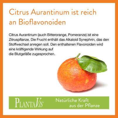 Citrus Aurantium Kapseln, A-Nr.: 4488731 - 03