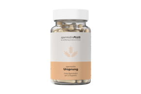 Spermidin Ursprung, A-Nr.: 5313287 - 01