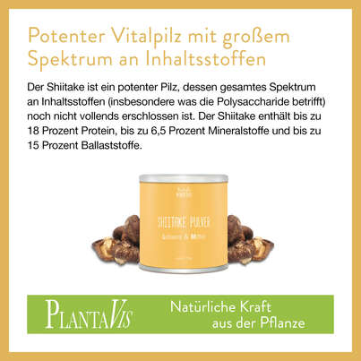 Sie sehen eine Packung Shiitake Pulver 190g, Produktbild: 03 Shiitake Pulver 190g, A-Nr.: 4547014 - 03