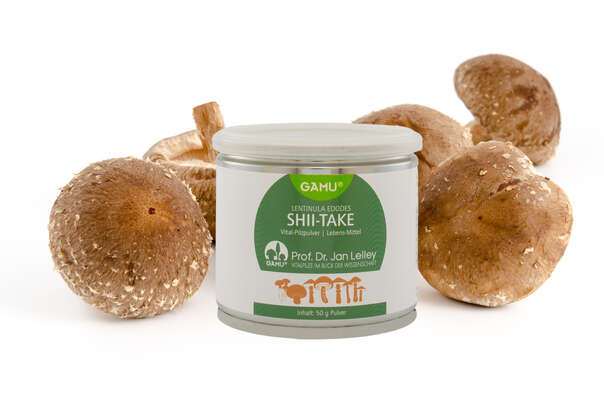 Gamu Shii-take Bio Pulver, A-Nr.: 5600236 - 02