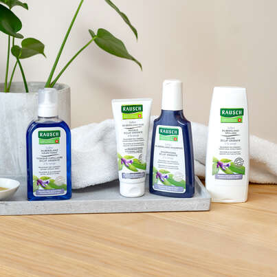 Sie sehen eine Packung RAUSCH Salbei SILBERGLANZ-SHAMPOO, Produktbild: 03 RAUSCH Salbei SILBERGLANZ-SHAMPOO, A-Nr.: 4310559 - 03