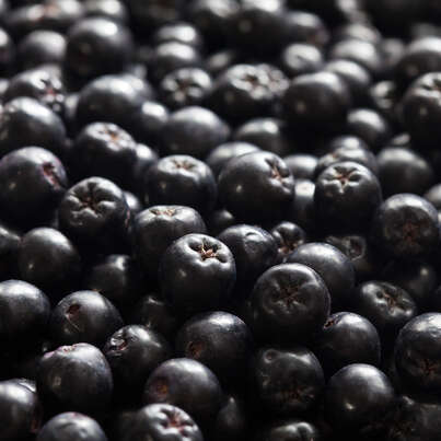 Sie sehen eine Packung RAUSCH DRY SHAMPOOO Fresh, Produktbild: 03 RAUSCH DRY SHAMPOOO Fresh, A-Nr.: 4763798 - 03