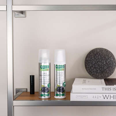 Sie sehen eine Packung RAUSCH DRY SHAMPOOO Fresh, Produktbild: 02 RAUSCH DRY SHAMPOOO Fresh, A-Nr.: 4763829 - 02