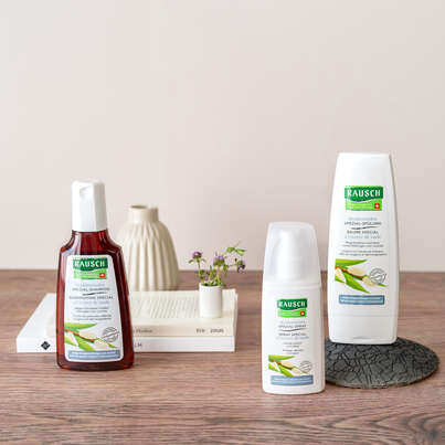 Sie sehen eine Packung RAUSCH Weidenrinden SPEZIAL-SPRAY, Produktbild: 03 RAUSCH Weidenrinden SPEZIAL-SPRAY, A-Nr.: 4731373 - 03