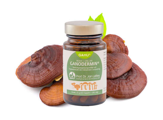 Sie sehen eine Packung Gamu Bio Reishi | Ganodermin Kapseln, Produktbild: 02 Gamu Bio Reishi | Ganodermin Kapseln, A-Nr.: 5600199 - 02