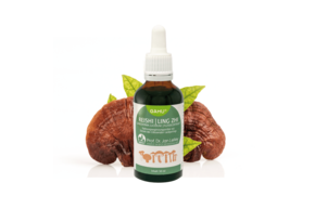 Gamu Reishi Flüssigextrakt, A-Nr.: 5600348 - 01