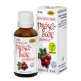 Espara Preiselbeere Compositum Alchemistische Essenz 30ml, A-Nr.: 4040108 - 02