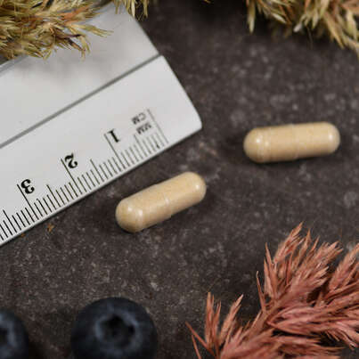 Supplementa Pro Digest Kapseln, A-Nr.: 5596523 - 05