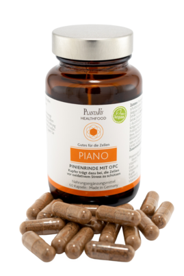 Sie sehen eine Packung Piano - Pinienrinde mit OPC Kapseln, Produktbild: 01 Piano - Pinienrinde mit OPC Kapseln, A-Nr.: 4488613 - 01