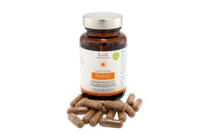 Piano - Pinienrinde mit OPC Kapseln, A-Nr.: 4488613 - 01