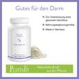Sie sehen eine Packung PlantaBiotic Kapseln, Produktbild: 03 PlantaBiotic Kapseln, A-Nr.: 4488808 - 03