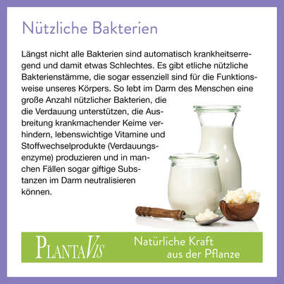 Sie sehen eine Packung PlantaBiotic Kapseln, Produktbild: 04 PlantaBiotic Kapseln, A-Nr.: 4488808 - 04