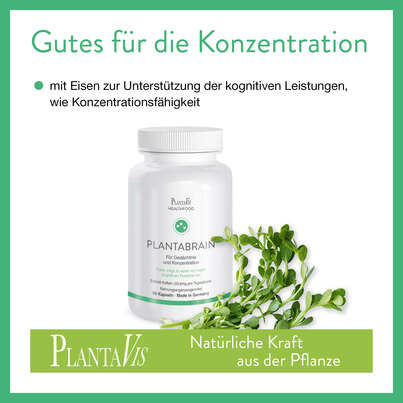Sie sehen eine Packung PlantaBrain Kapseln, Produktbild: 03 PlantaBrain Kapseln, A-Nr.: 4488820 - 03