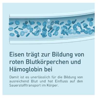 Sie sehen eine Packung Nupure Eisen plus Vitamin C + B12 + Folsäure, Produktbild: 04 Nupure Eisen plus Vitamin C + B12 + Folsäure, A-Nr.: 5778744 - 04