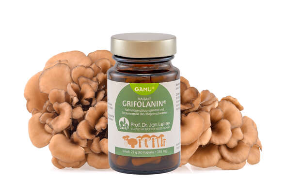 Sie sehen eine Packung Gamu bio Maitake | Grifolanin Kapseln, Produktbild: 02 Gamu bio Maitake | Grifolanin Kapseln, A-Nr.: 5600176 - 02