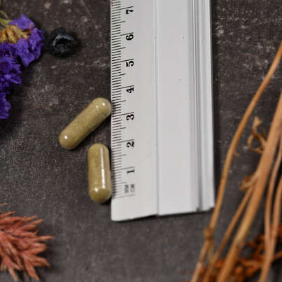 Supplementa Matcha Green Tea 300 mg Kapseln, A-Nr.: 5574160 - 04