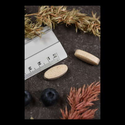 Supplementa Maximum NK Cells Tabletten, A-Nr.: 5597617 - 05